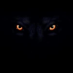 Meet your Posher, Marlin